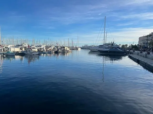 Celeste Cannes Centre 700M Du Palais Des Festivals 프랑스